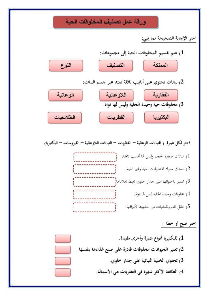 ورقة عمل تصنيف المخلوقات الحية