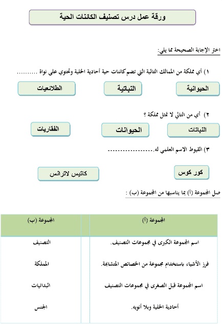 ورقة عمل تصنيف المخلوقات الحية