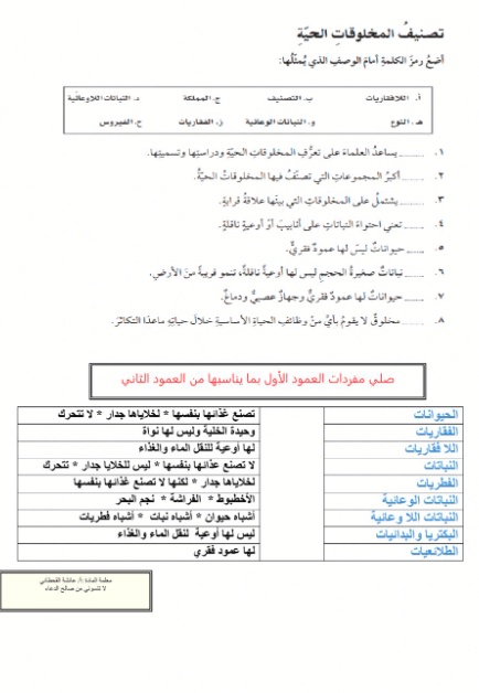 ورقة عمل تصنيف المخلوقات الحية