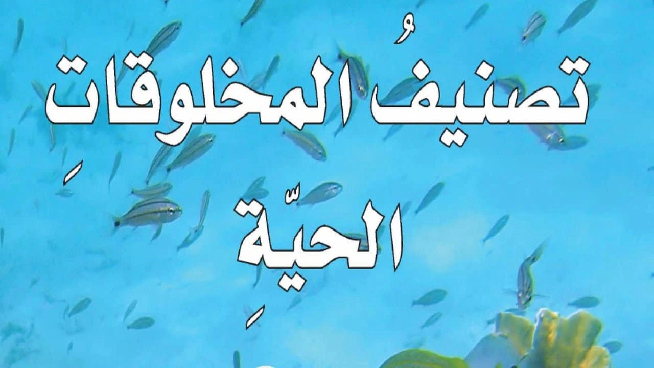 صورة ورقة عمل تصنيف المخلوقات الحية