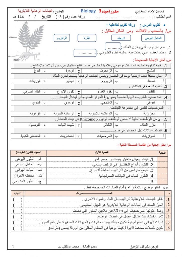 ورقة عمل تنوع الثدييات