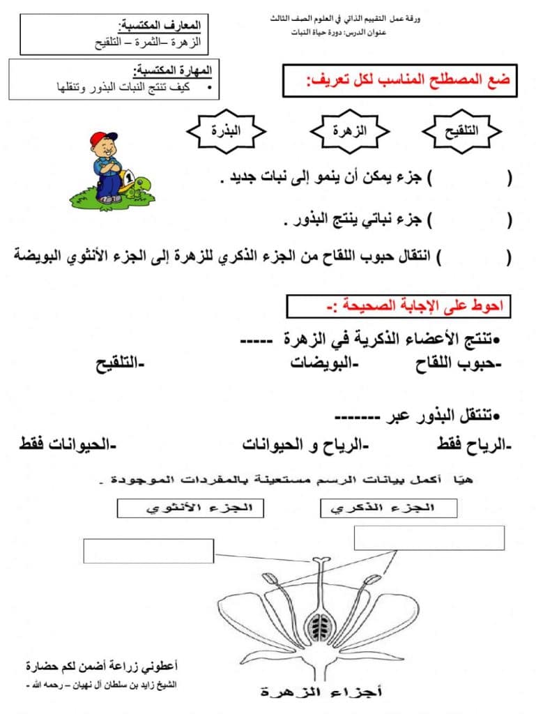 ورقة عمل تنوع الثدييات