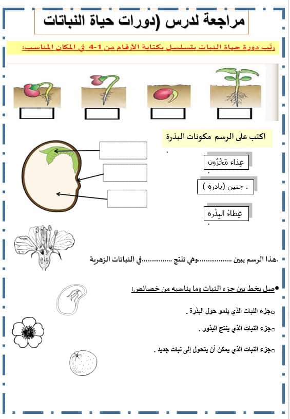 ورقة عمل تنوع الثدييات