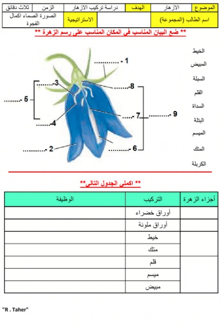 ورقة عمل تنوع الثدييات