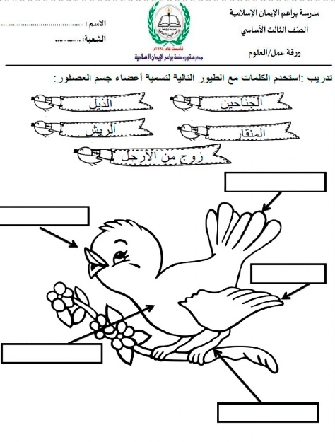 ورقة عمل تنوع الثدييات
