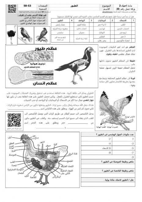 ورقة عمل تنوع الثدييات