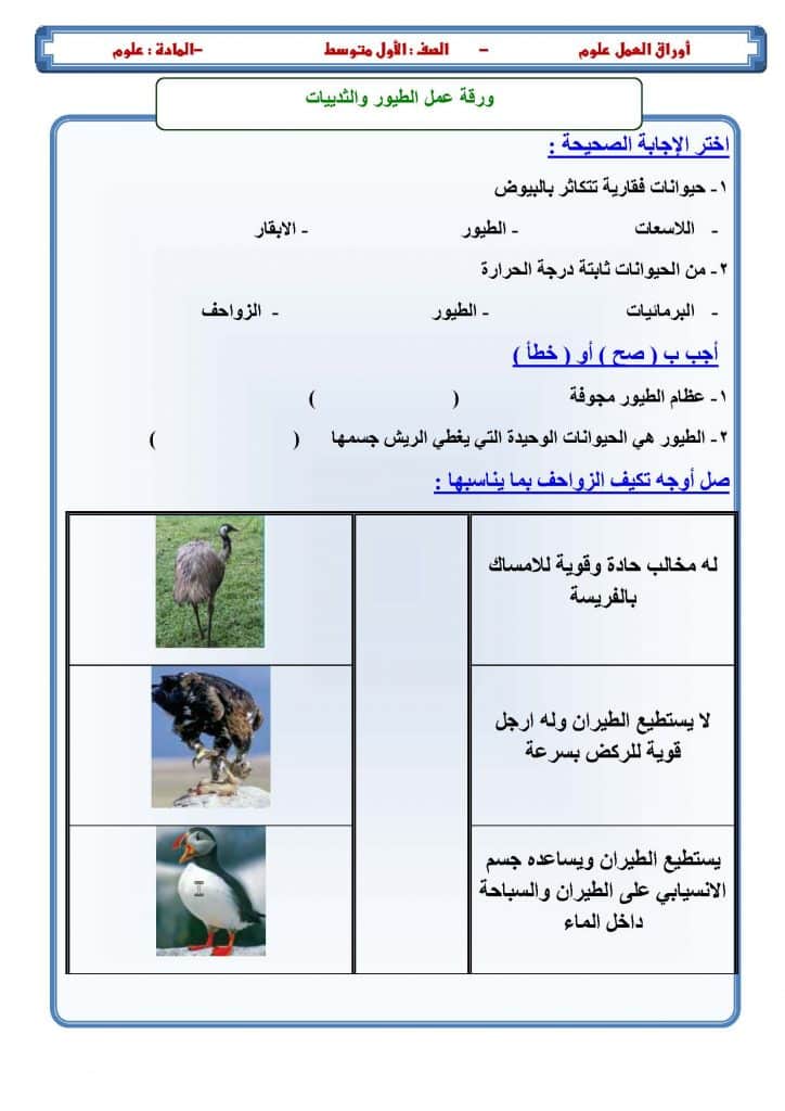 ورقة عمل تنوع الثدييات