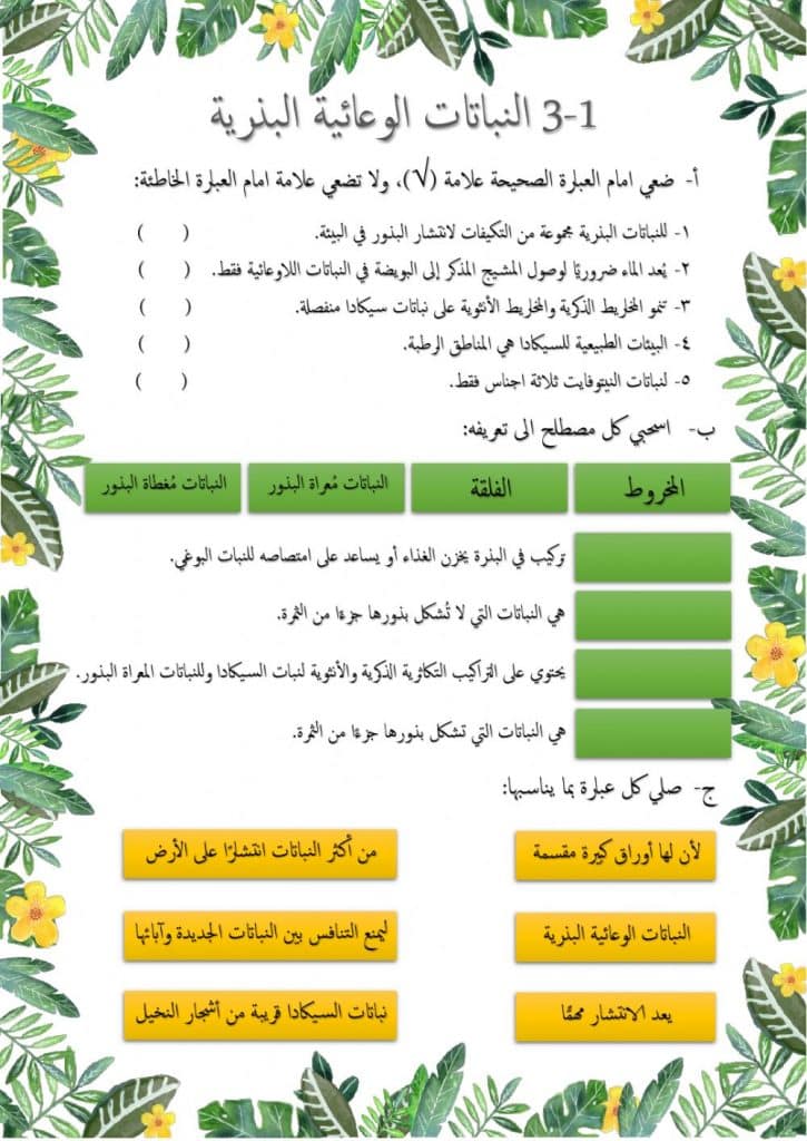 ورقة عمل تنوع الثدييات