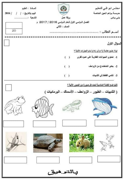 ورقة عمل تنوع الثدييات