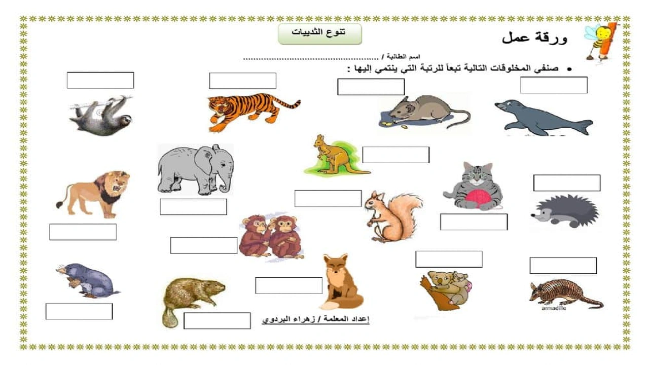 صورة ورقة عمل تنوع الثدييات