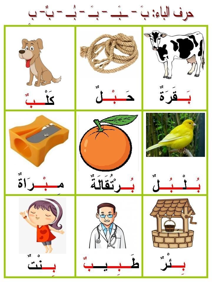 ورقة عمل حرف الباء