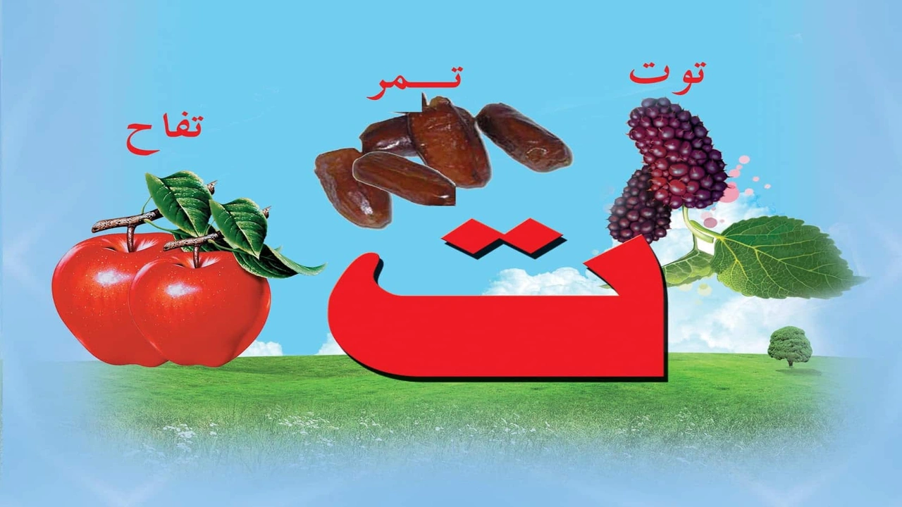 صورة ورقة عمل حرف التاء