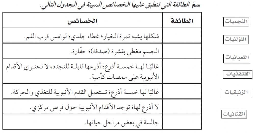 ورقة عمل خصائص شوكيات الجلد