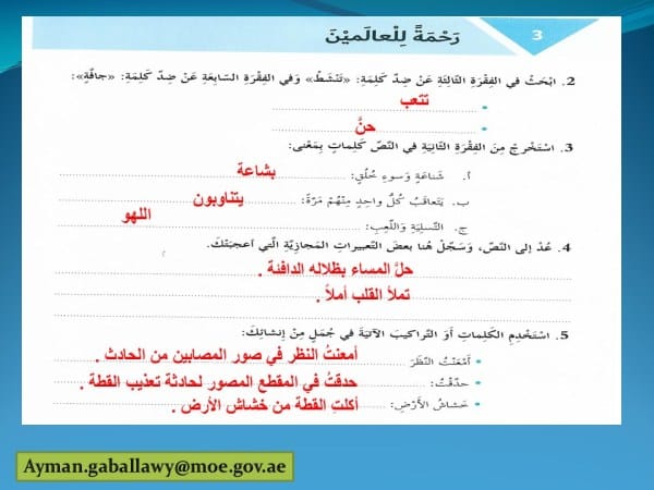 ورقة عمل درس رحمة للعالمين