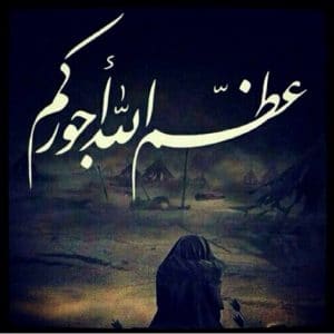 وش الرد على ماجورين