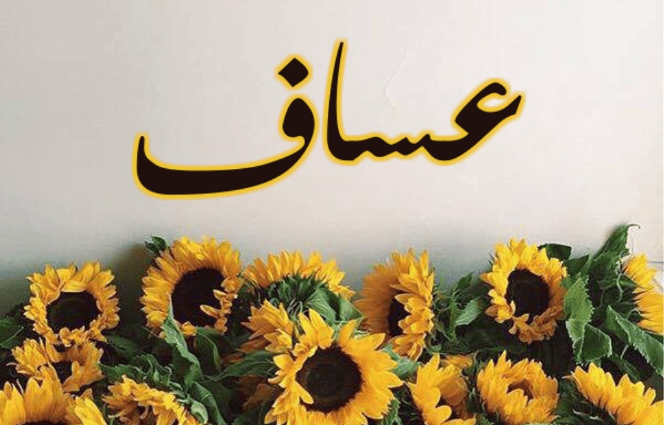 وش رايكم باسم عساف