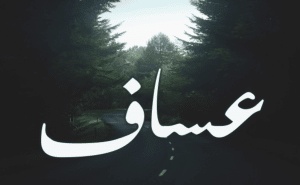 وش رايكم باسم عساف