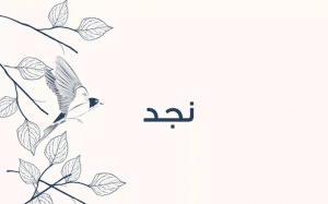 وش رايكم باسم نجد