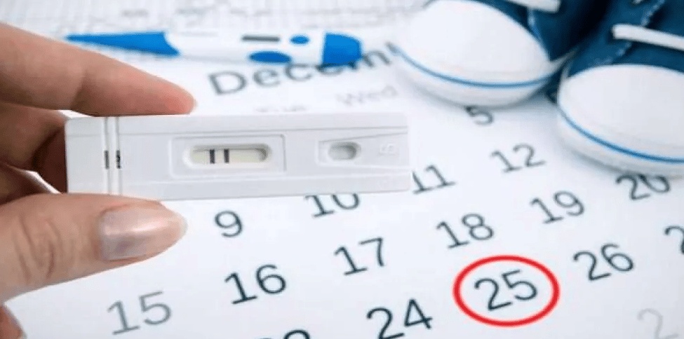 وصفة مجربة وطبيعية لتنشيط المبايض وزيادة التبويض 